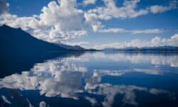 A message to all light workers (What is your calling?)