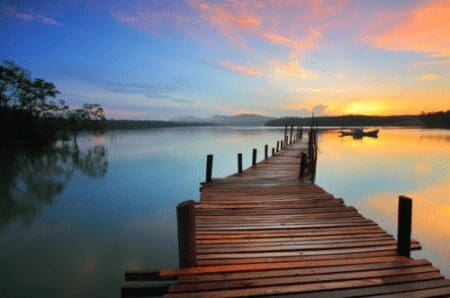 Living in the moment vs. future planning