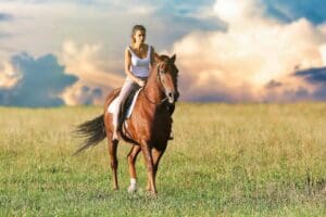 horse riding mindful hobby