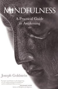 mindfulness a practical guide to awakening book